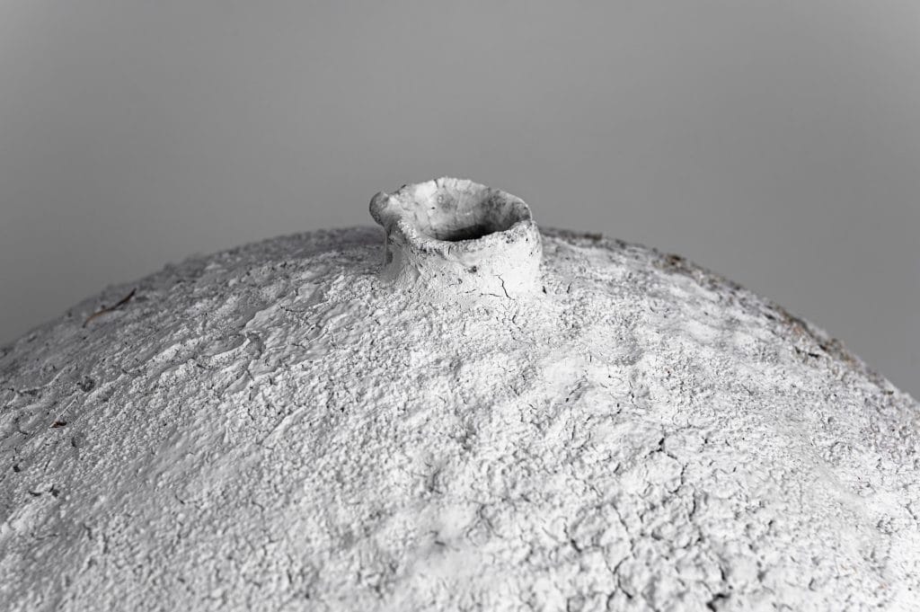 203-Rumi Collection-8334